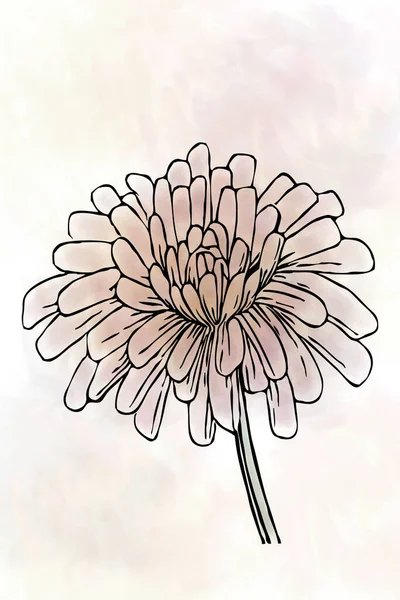 Illustration Botanique Style Minimaliste Imprimable Fleurs Printemps Peintes Aquarelle Joyeux — Photo