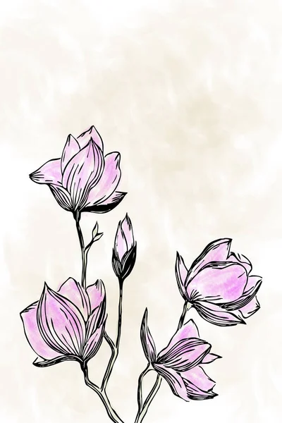 Botanische Illustration Minimalistischen Stil Frühlingsblumen Mit Aquarell Bemalt Glückwunschkarten Zum — Stockfoto