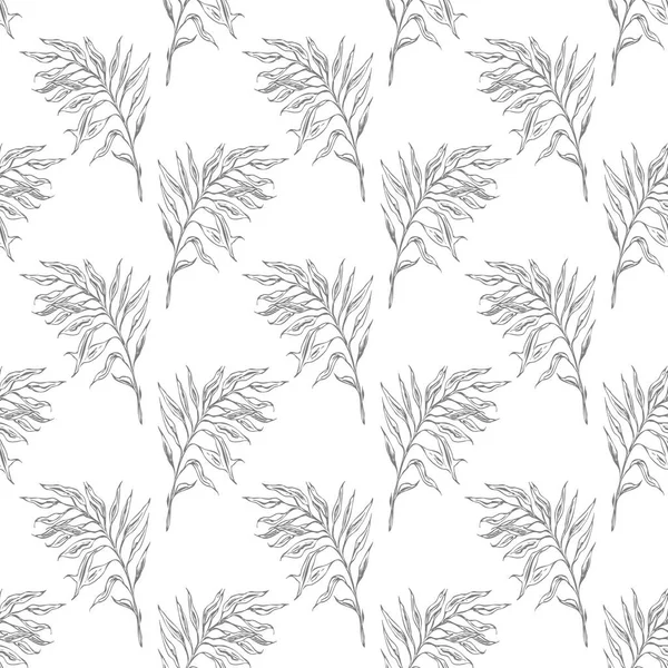 Beyaz Arka Planda Elbiseler Için Kusursuz Botanik Desenler Oda Kağıtları — Stok fotoğraf