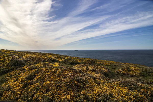 Paisagem Junto Mar Dia Ensolarado Céu Azul Padstow Cornwall Inglaterra — Fotografia de Stock