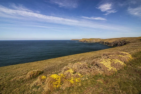 Deniz Kenarındaki Manzara Padstow Cornwall Güneşli Mavi Gökyüzü Ngiltere Birleşik — Stok fotoğraf