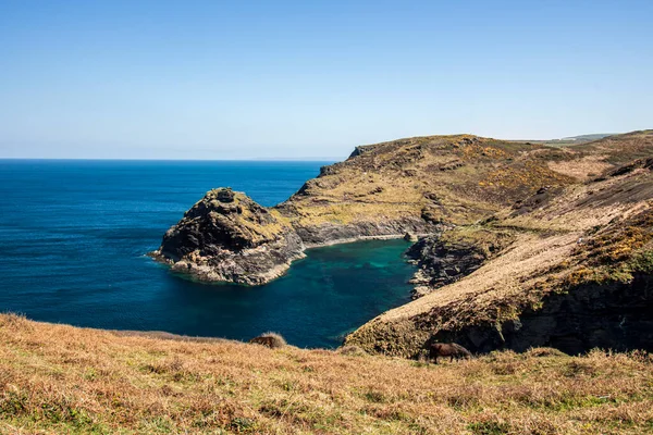 Boscastle Cornwall Europe Прекрасний Морський Пейзаж Вид Скелі — стокове фото