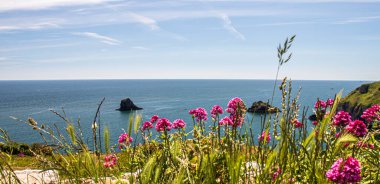 Brixham Devon, İngiltere, Avrupa. Güzel deniz manzarası. Güneşli bir günde deniz manzarası.