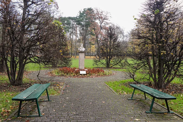 Foglie Gialle Sugli Alberi Autunno Nel Parco Cracovia Polonia — Foto Stock