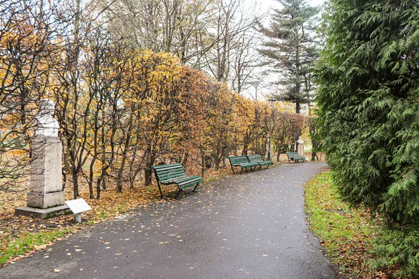 Hojas Amarillas Los Árboles Otoño Parque Cracovia Polonia —  Fotos de Stock