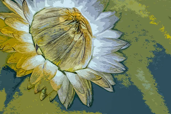 Botanische Illustratie Abstracte Achtergrond Foto Muur Printen — Stockfoto