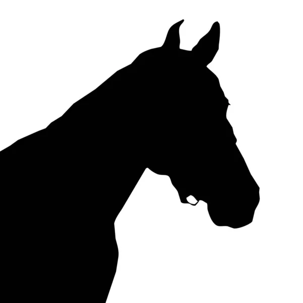 Wektorowa Ilustracja Zwierzęcia Czarna Sylwetka Konia Białym Tle — Wektor stockowy