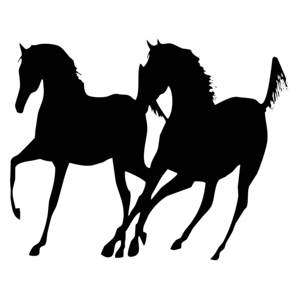 Vektorová Ilustrace Černá Silueta Koně Bílém Pozadí — Stockový vektor