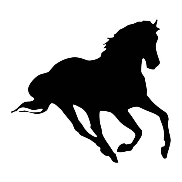Vector animal illustration. Black silhouette of a horse on a white background. 