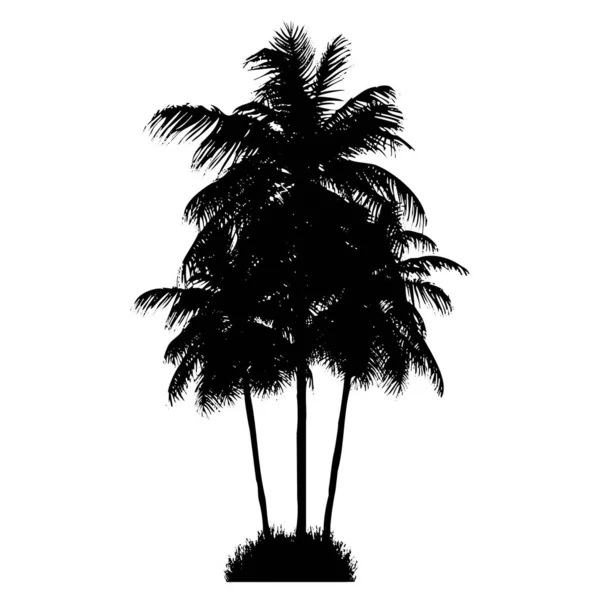 棕榈树的矢量图解 白色背景上的黑色热带树 — 图库矢量图片