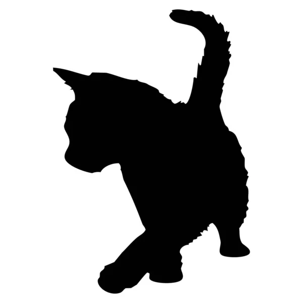 病媒动物图解 白色背景上的猫的黑色轮廓 — 图库矢量图片