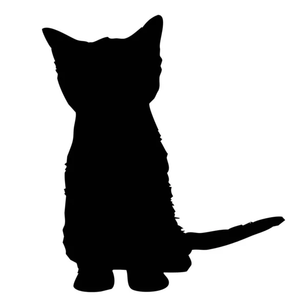 Vector Dierlijke Illustratie Zwart Silhouet Van Een Kat Een Witte — Stockvector