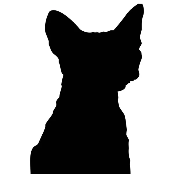Vektorová Ilustrace Černá Silueta Kočky Bílém Pozadí — Stockový vektor