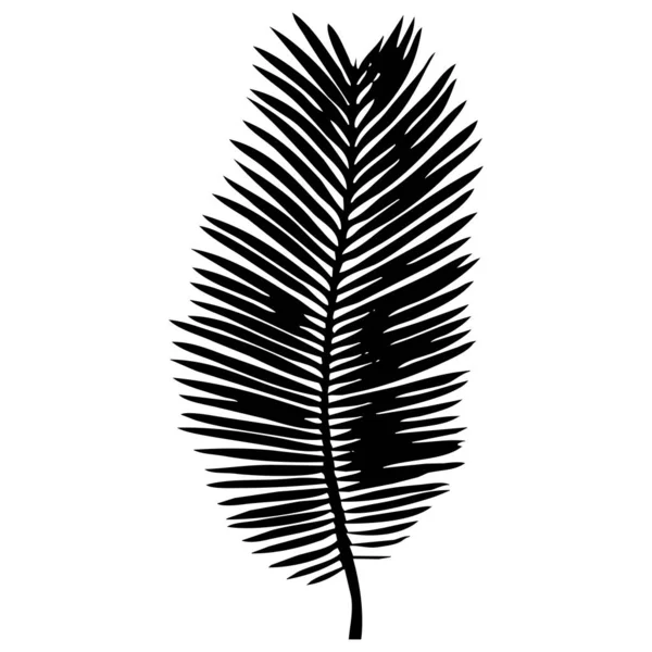 植物ベクターイラスト 白い背景に黒い葉 — ストックベクタ