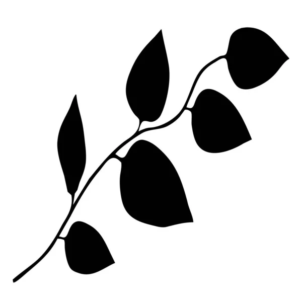 Botanisk Vektorillustration Svarta Blad Vit Bakgrund — Stock vektor