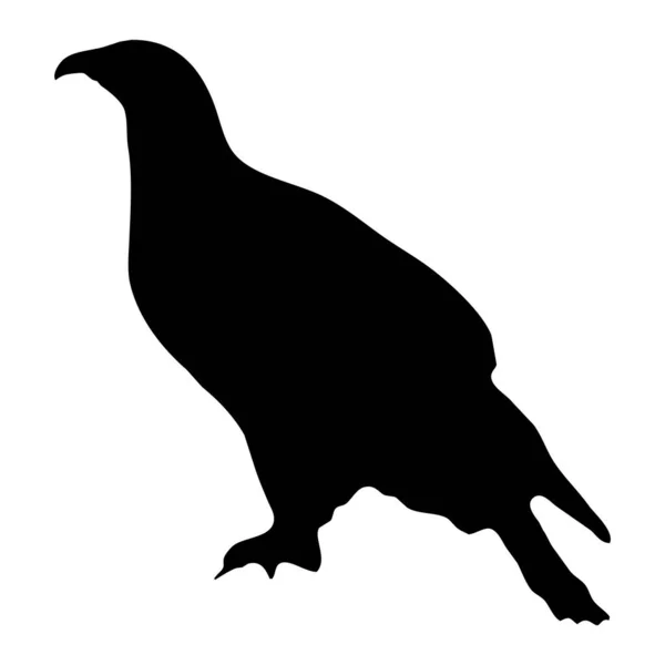Vector Illustratie Van Vogels Zwarte Adelaar Een Witte Achtergrond — Stockvector