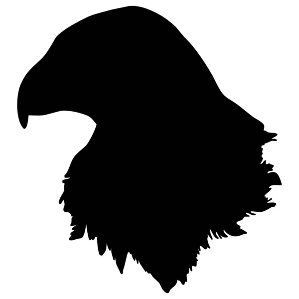 Wektorowa Ilustracja Ptaków Czarny Orzeł Białym Tle — Wektor stockowy