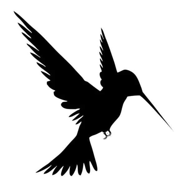 Vector Illustration Birds Black Hummingbird White Background — Stock Vector