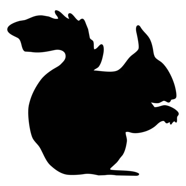 Ilustração Animal Vetorial Esquilo Preto Fundo Branco — Vetor de Stock