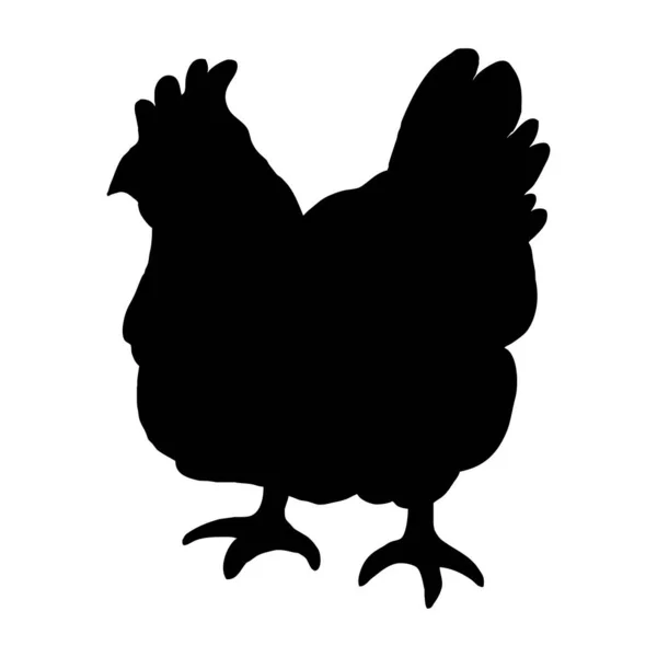 Vektoranimation Schwarze Henne Auf Weißem Hintergrund — Stockvektor