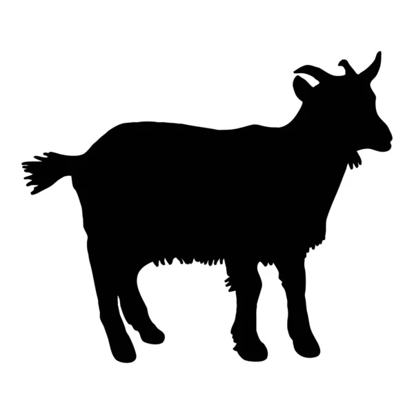 Vector Animal Illustration Black Goat White Background — Stock Vector