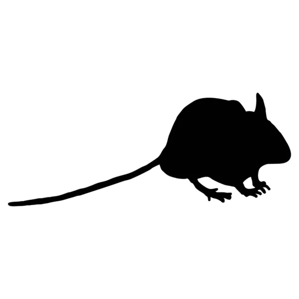 Ilustración Animal Vectorial Ratón Negro Sobre Fondo Blanco — Vector de stock