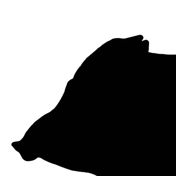 Векторні Ілюстрації Тварин Чорний Кабан Білому Тлі — стоковий вектор