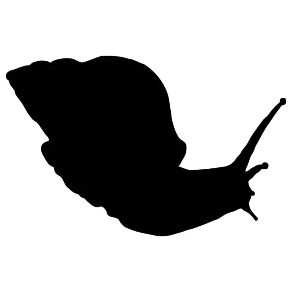 Vector Illustratie Zwarte Slak Een Witte Achtergrond — Stockvector