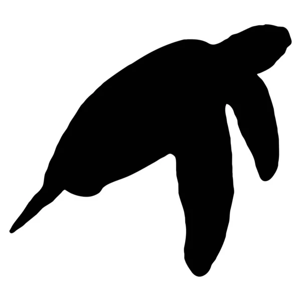 Ilustração Animal Vetorial Tartaruga Preta Fundo Branco —  Vetores de Stock