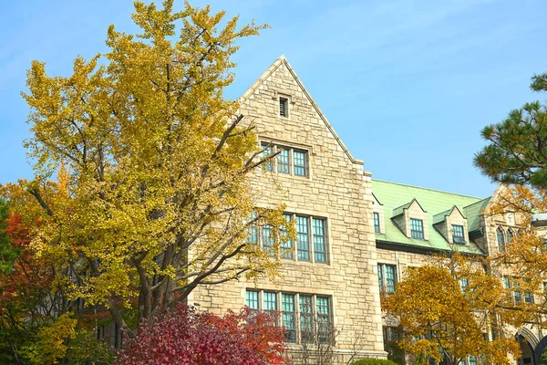 Colorful Leaves Front Stone Building — Stock Photo, Image