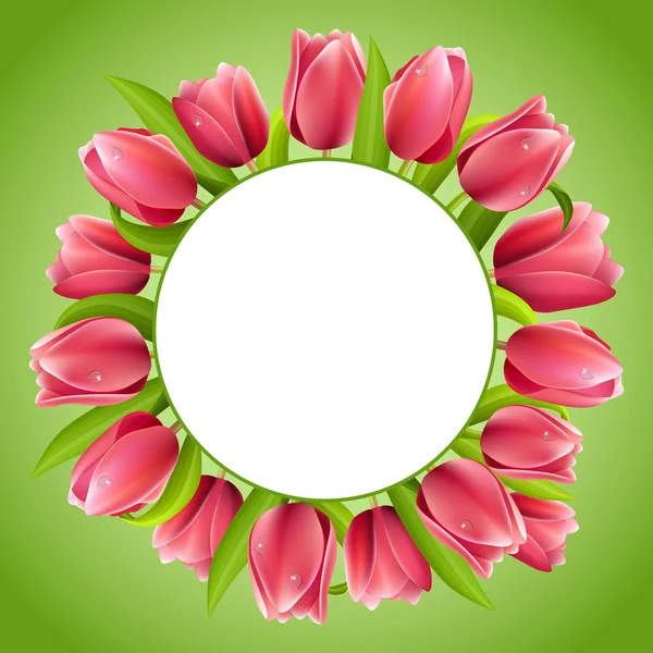 Prachtige realistische tulip boeket — Stockvector