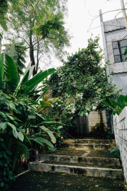 Aşırı gelişmiş Bahçe Girişi Taş Merdivenlerle