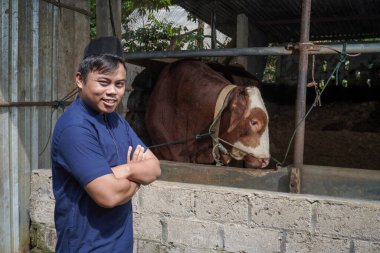 Heyecanlı Asyalı Müslüman çiftçinin portresi çiftlikte limuzin ineğinin önünde duruyor, el ele tutuşup el ele tutuşuyor.