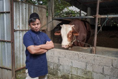 Heyecanlı Asyalı Müslüman çiftçinin portresi çiftlikte limuzin ineğinin önünde duruyor, el ele tutuşup el ele tutuşuyor.