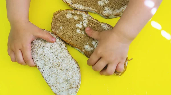 Slices of stale bread with mold. A small child plays at home in the kitchen with slices of black bread covered with mold on a yellow background. Spoiled food. Old mold on food.