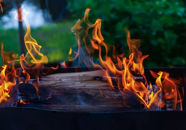 Fire Grill Firewood Burning Portable Metal Makeshift Barbecue Red Flame — Stock Photo, Image