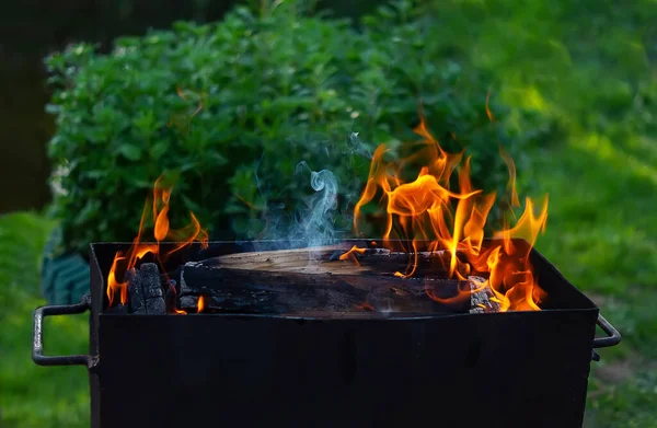 Fuoco Alla Griglia Carboni Ardenti Legna Che Brucia Griglia Metallo — Foto Stock