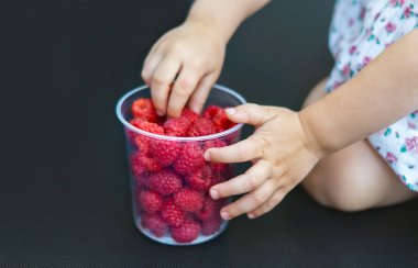 Çocuk yazın ahududu yer. Böğürtlenli çocuk elleri. Küçük bir kız koyu bir arka planda oturuyor ve büyük plastik bir bardaktan kırmızı bir ahududu alıyor..