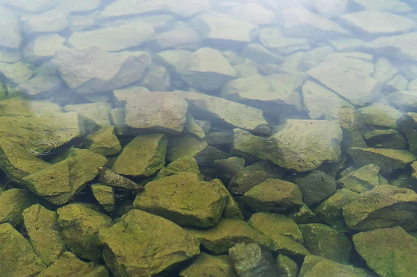 澄んだ水の下の古い大きな石 川の底に石の自然の背景 水面下の岩 野生生物の概念 自然シーン — ストック写真