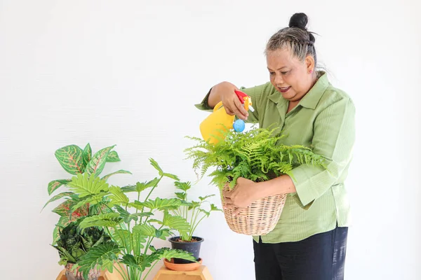 Mulheres Asiáticas Sênior Mantenha Planta Crescendo Dentro Suas Plantas Sala — Fotografia de Stock