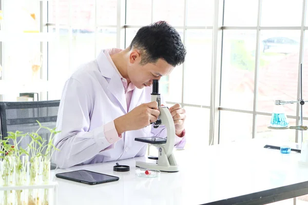 Asijští Vědci Nebo Chemici Používají Mikroskop Science Experiment Medical Pharmaceutical — Stock fotografie