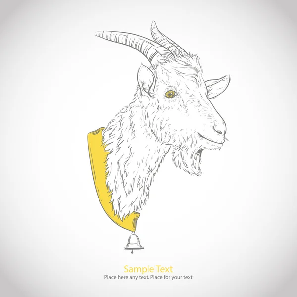 Head or mountain goat — Stock Vector