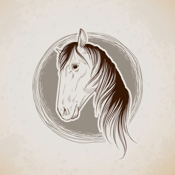 Pferd — Stockvektor