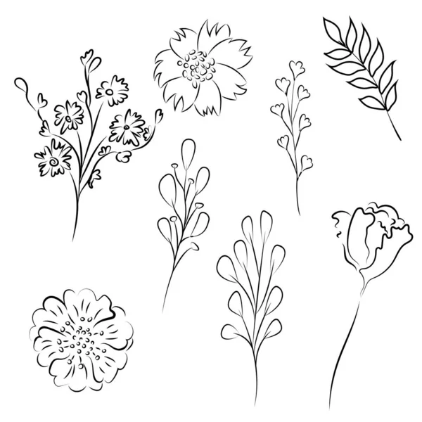 Sketch Floral set. Flower and leaf drawings. Black and white with line art on white backgrounds. Hand Drawn Illustrations. Stock Illustration