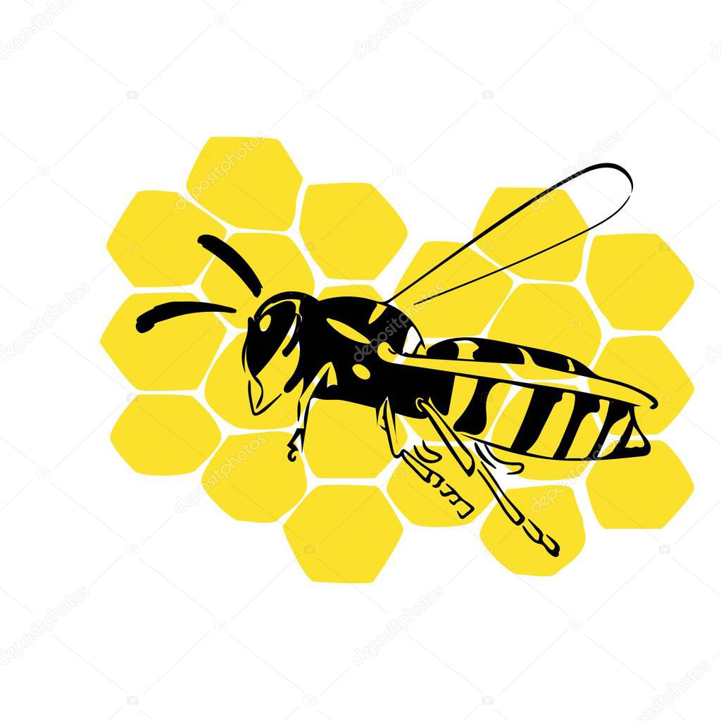 Wasp illustration black yellow isolated on white background