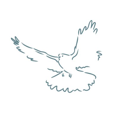 Uçan güvercin çizimi beyaz arkaplan çizgisi sanatında izole edildi