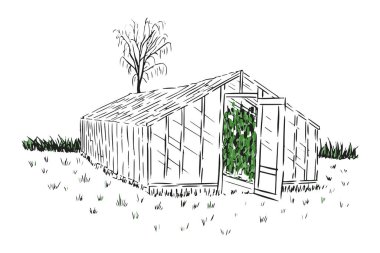 Çimlerin üzerindeki serada ağaçlar ve beyaz arka planda çalılar.