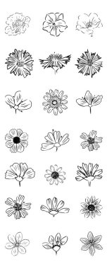 Çiçekler Simgesi ayarlandı. çizgi sanatı. Beyaz arka planda. İzole edilmiş