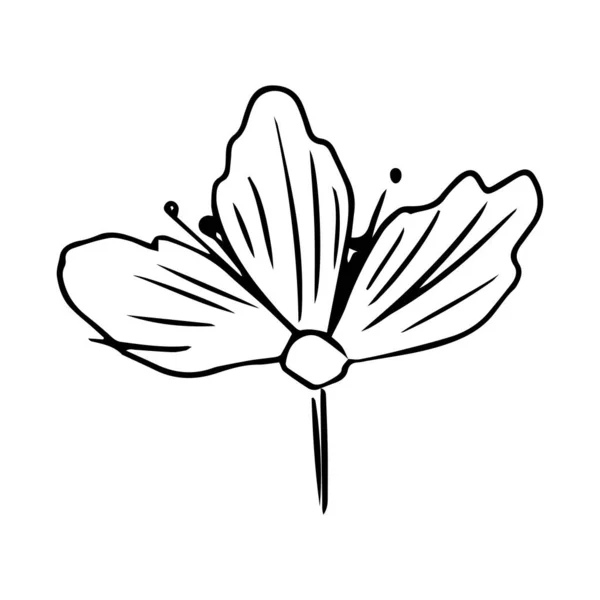 Ilustración dibujada a mano flor. Arte de línea. Aislado sobre fondo blanco. — Archivo Imágenes Vectoriales