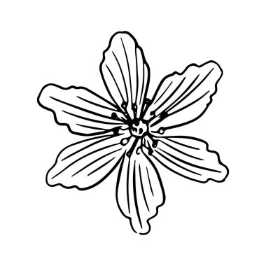 Çiçekli el çizimi. İzole edilmiş. Satır sanatı.